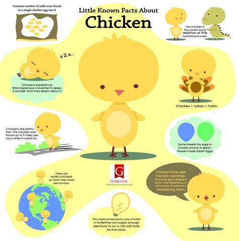 Facts of chicken. Things To Know About Facts of chicken. 